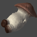 モンスト ショック 大炎上 あのキャラにまつわる黒歴史がヤバ過ぎるwwwwww モンスト ショック 大炎上 あのキャラにまつわる黒歴史がヤバ過ぎるwwwwww